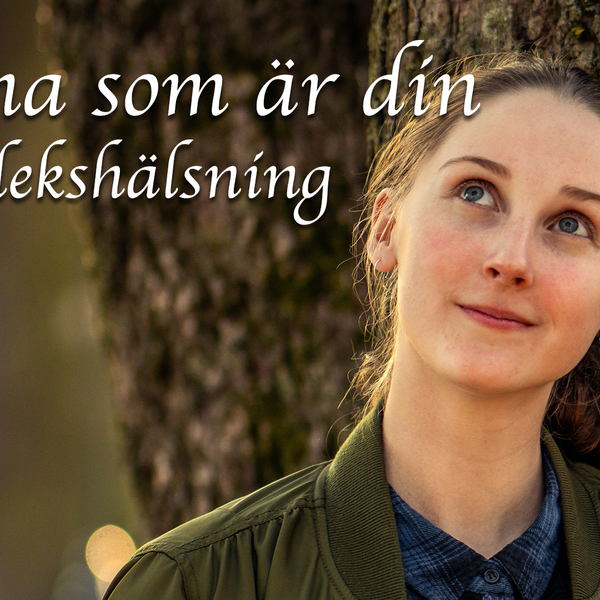Stjrna som r din En krlekshlsning Stjrna som r din En krlekshlsning